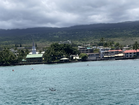 イルカの背びれが見えてます!