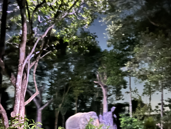 トラムカーからの写真