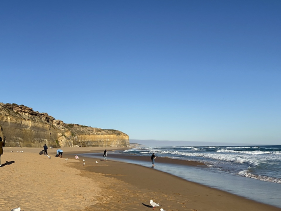 ギブソンスッテプス