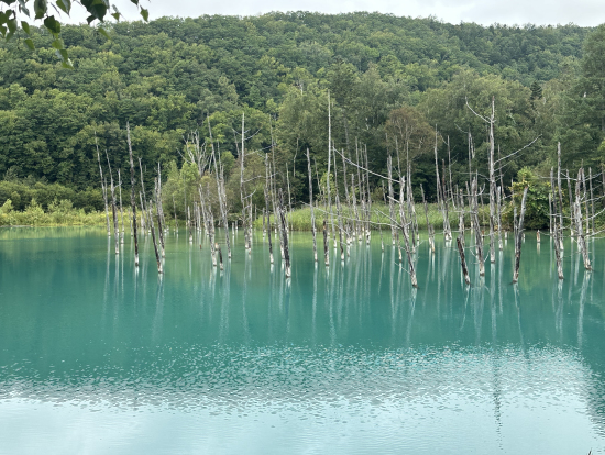 青い池