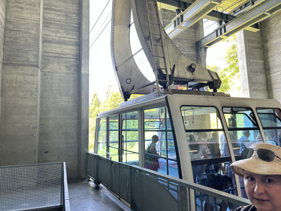 リギにのぼるロープウェイ