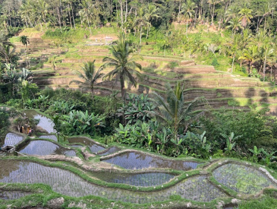 いい写真スポットに案内してもらいました。