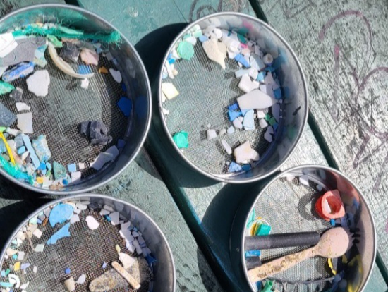 30分くらいでそれぞれが拾ったゴミ