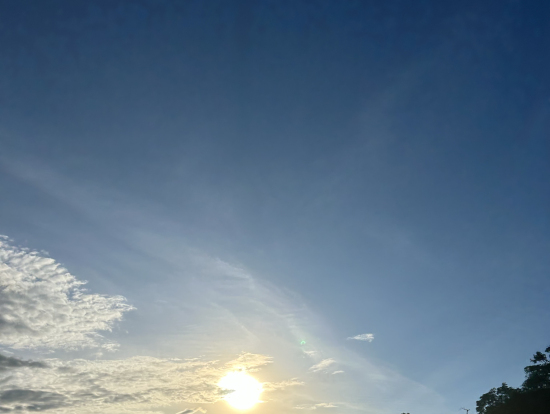 クルーズの時の写真です!