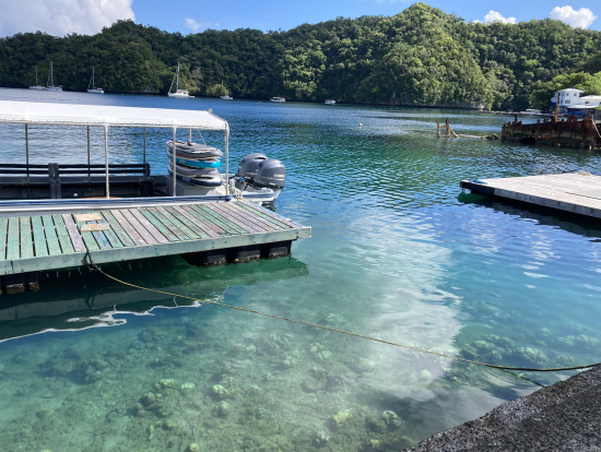 出発前(SUPボードを載せています)