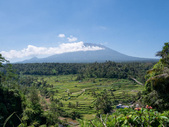 ライステラスも絶景でした