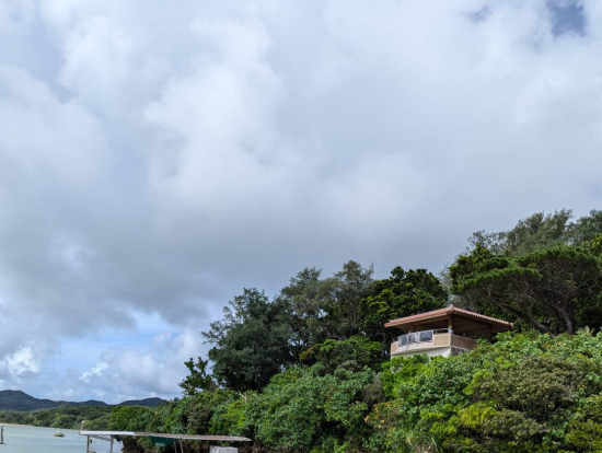 植物も綺麗でした。