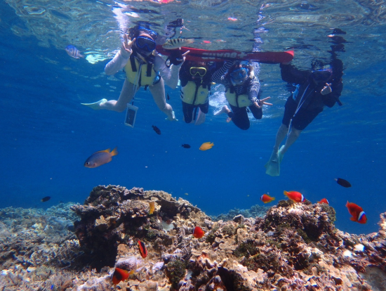 お魚いっぱい！