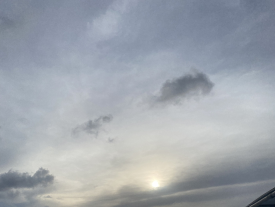 とても綺麗でした!