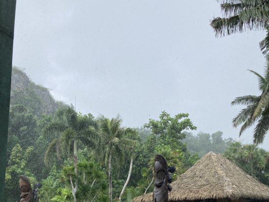 ランチビュッフェ会場