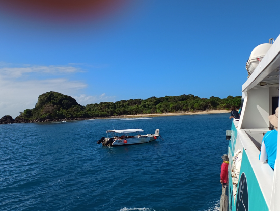 間もなくフランクランドアイランド