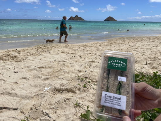 朝ごはんは、カラパワイマーケットで買ったサンドイッチと。