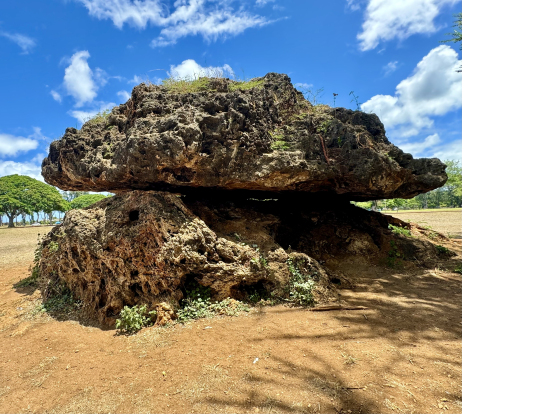 これがウワサのバランスロック