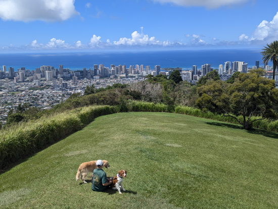 タンタラスの丘のパノラマビュー2