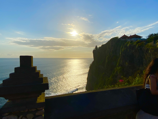 寺院ではマジで猿に注意!