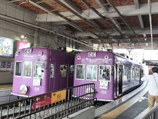 マルダイの横並び