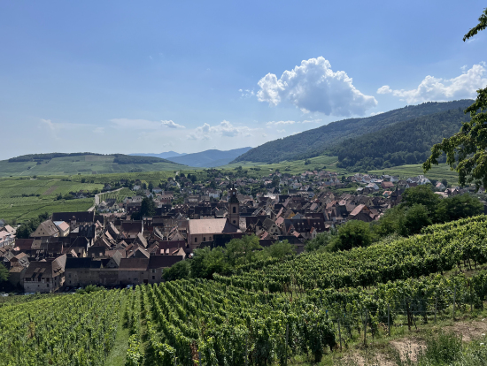 エーグスハイムの村、アルザスワイン街道