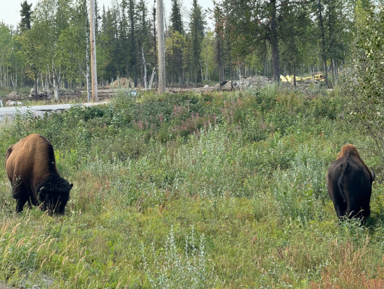 可愛かったです。