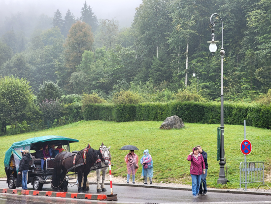ノイス城の馬車