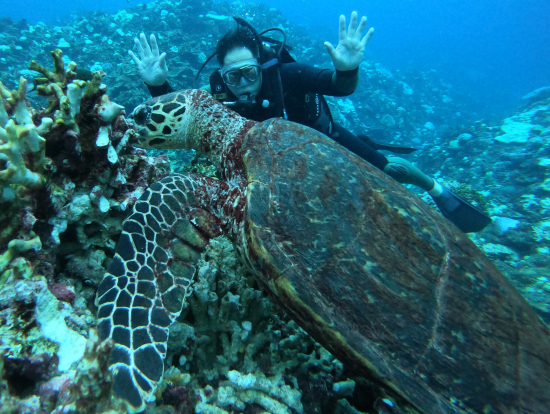 3ダイブ目で念願の亀に遭遇