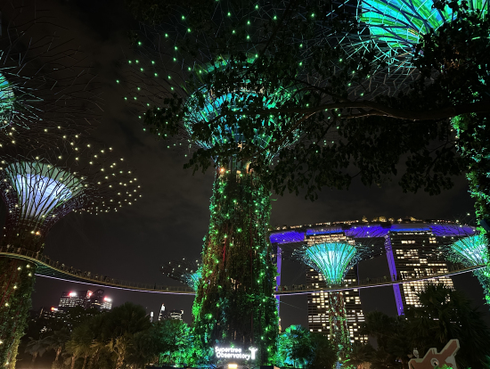 ガーデンバイザシーのショー 凄い人だかりなんです!