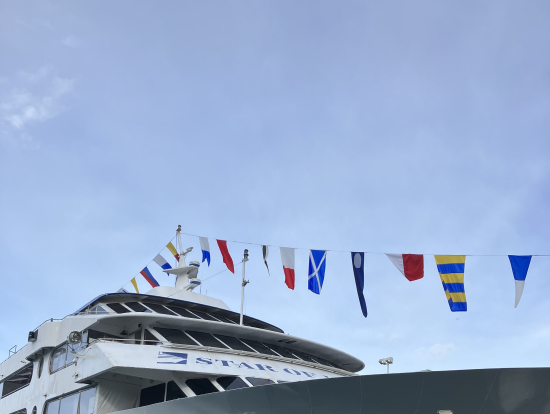 乗船した船です。