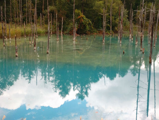 水面に映る雲と青い池