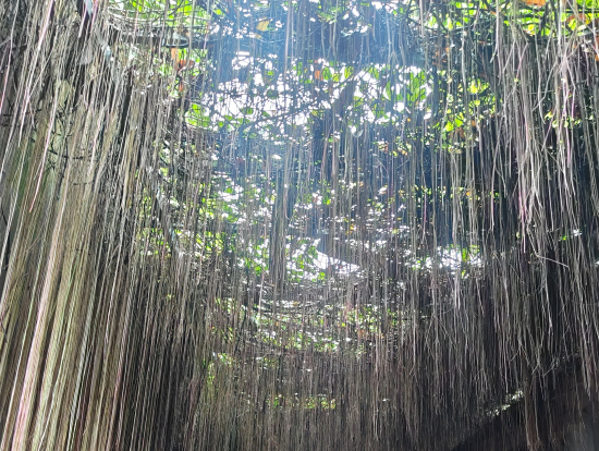 レストランの入口