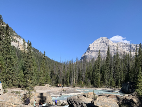 ナチュラルブリッジ