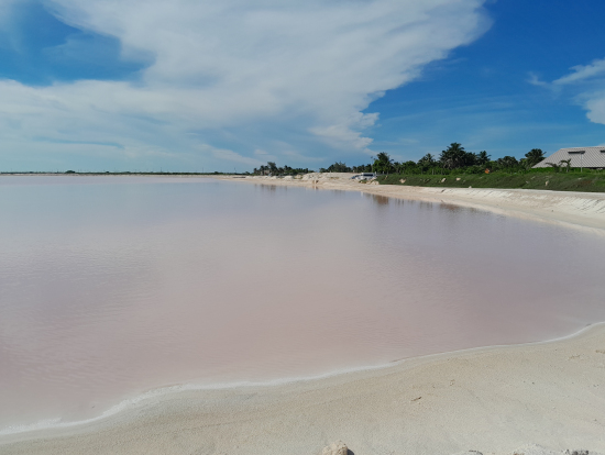 ピンクレイク、ピンクに見えました!