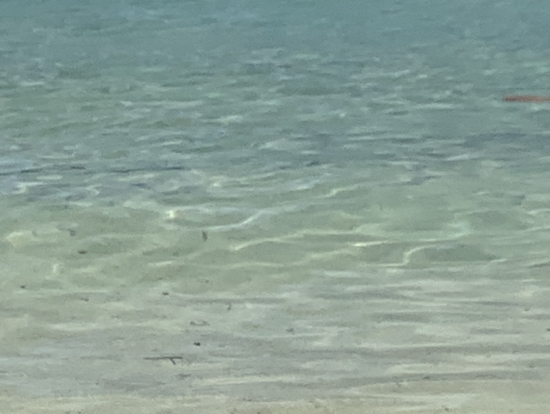 Crystal clear sea