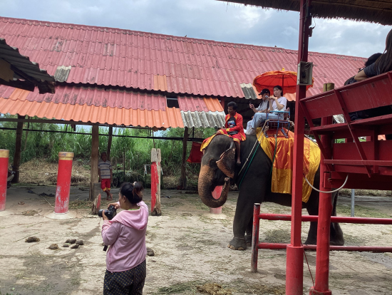 象遣いさんの技が凄い