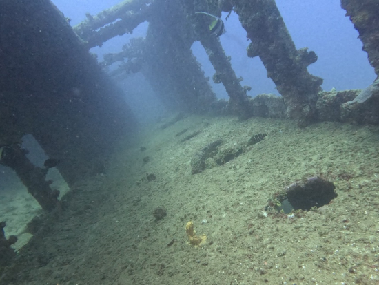 東海丸〜廊下〜