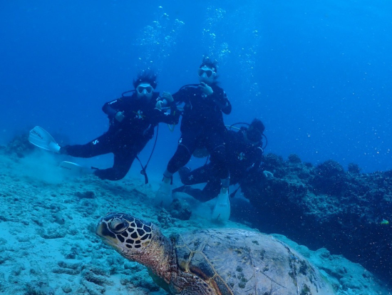 ウミガメと記念撮影