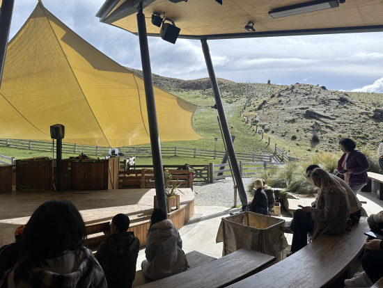 毛刈りと牧羊犬のショー