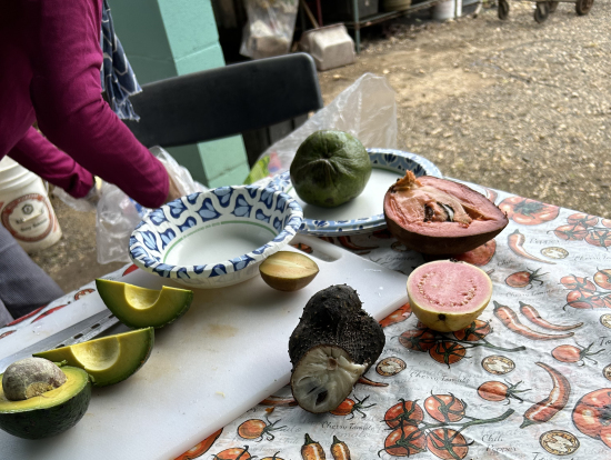 最後のフルーツ試食会