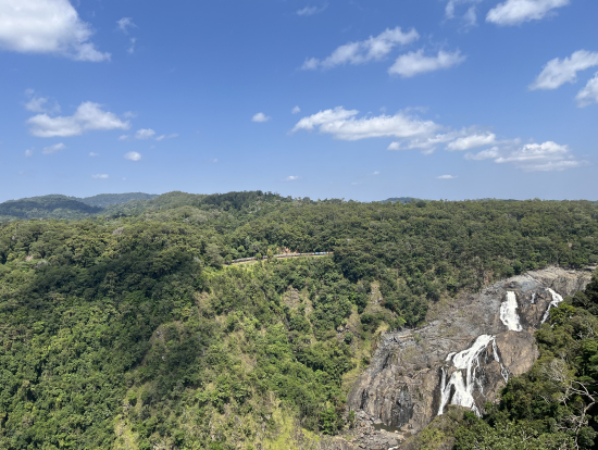 右下がバロン滝、画面中央がわかりにくいですがキュランダ鉄道です
