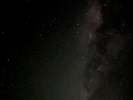 スタッフがiPhoneでの撮り方のコツを教えて回っていました。