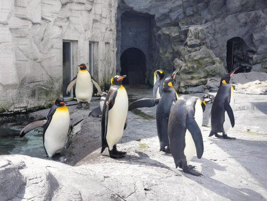 もぐもぐタイム順番待ちフォト