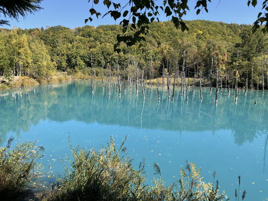 青い池