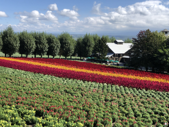 ファーム富田