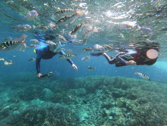 魚たちと一緒に珊瑚の海を泳げます!