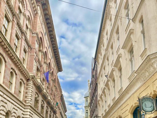 市場に行くまでの歩行者天国通り