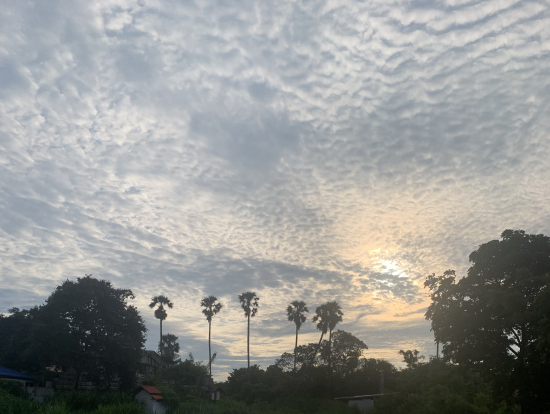 象乗り中みた景色