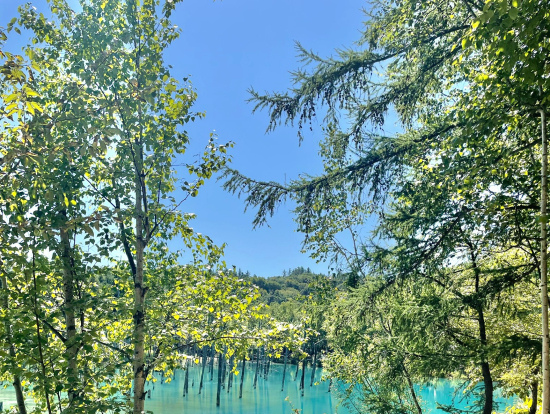 青い池