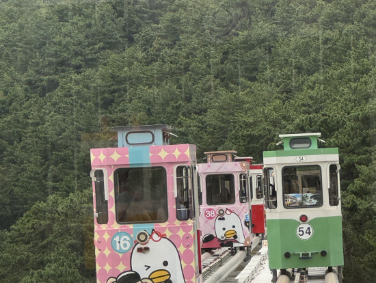 のんびりカプセル