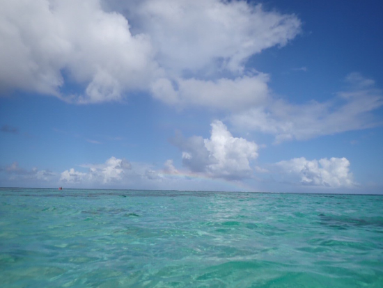 穏やかな新城の海