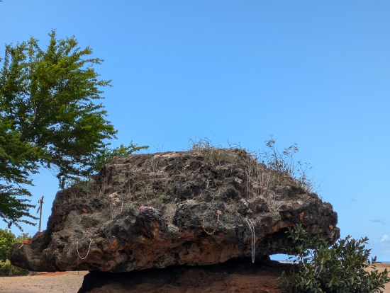 大谷選手も訪問したパワースポット