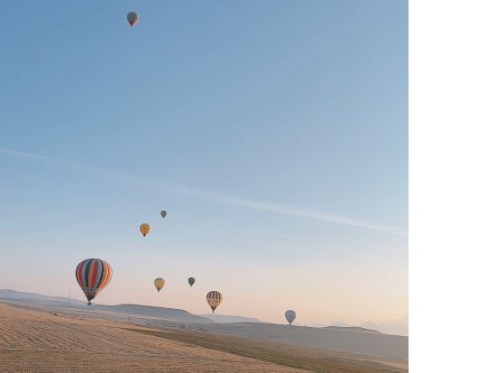 ぐんぐん上昇中