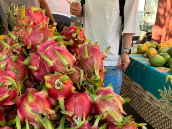 鮮やかなフルーツがいっぱい